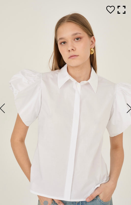 Camicia