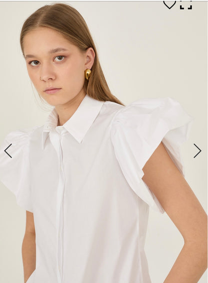 Camicia