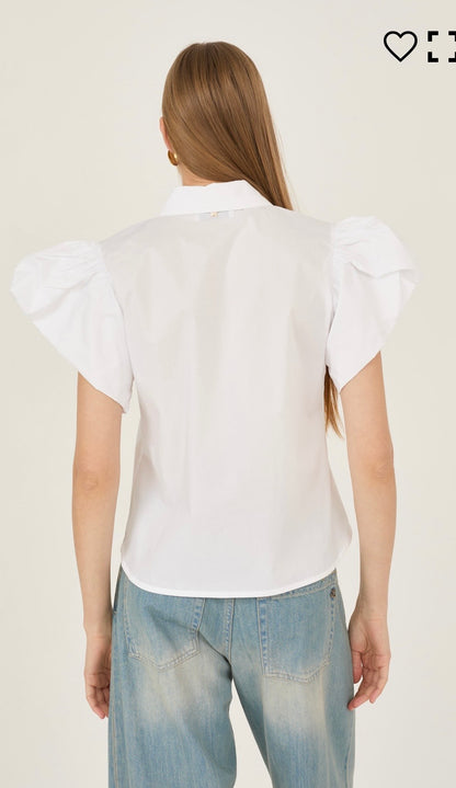 Camicia